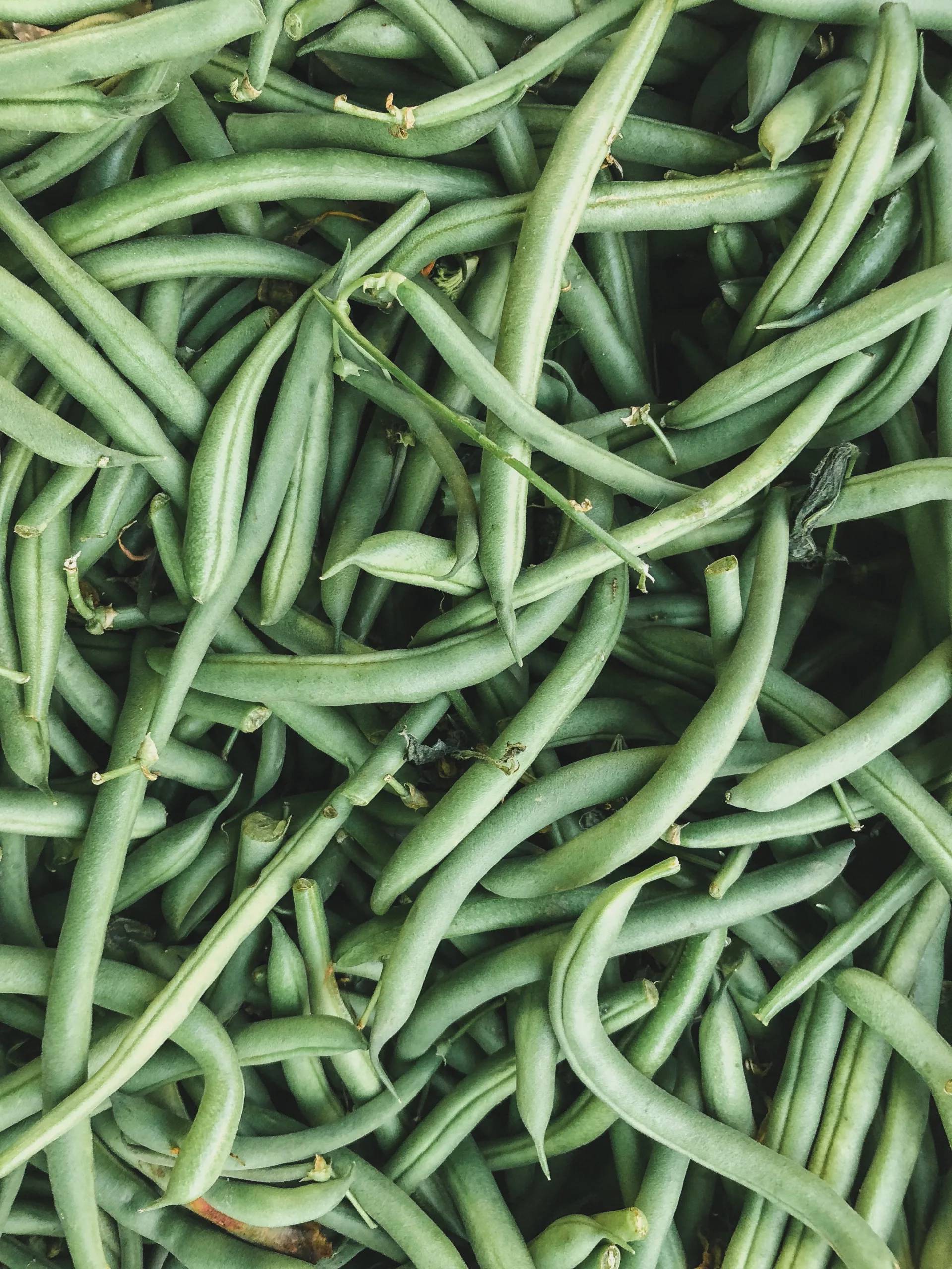A close-up image of fresh green beans piled together, showcasing their vibrant green color and elongated shape.