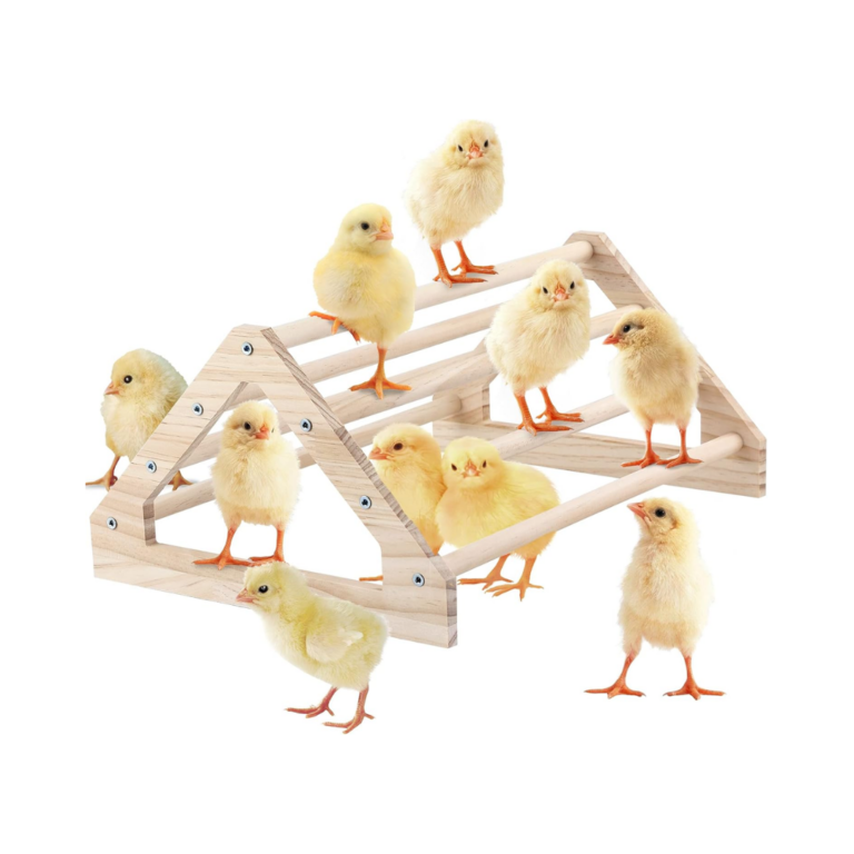 Budget-Friendly Chick Brooder Set-Up - The Rooted Farmhouse | Gardening ...