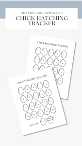 How to Incubate Chicken Eggs for Beginners (Free Hatching Tracker ...