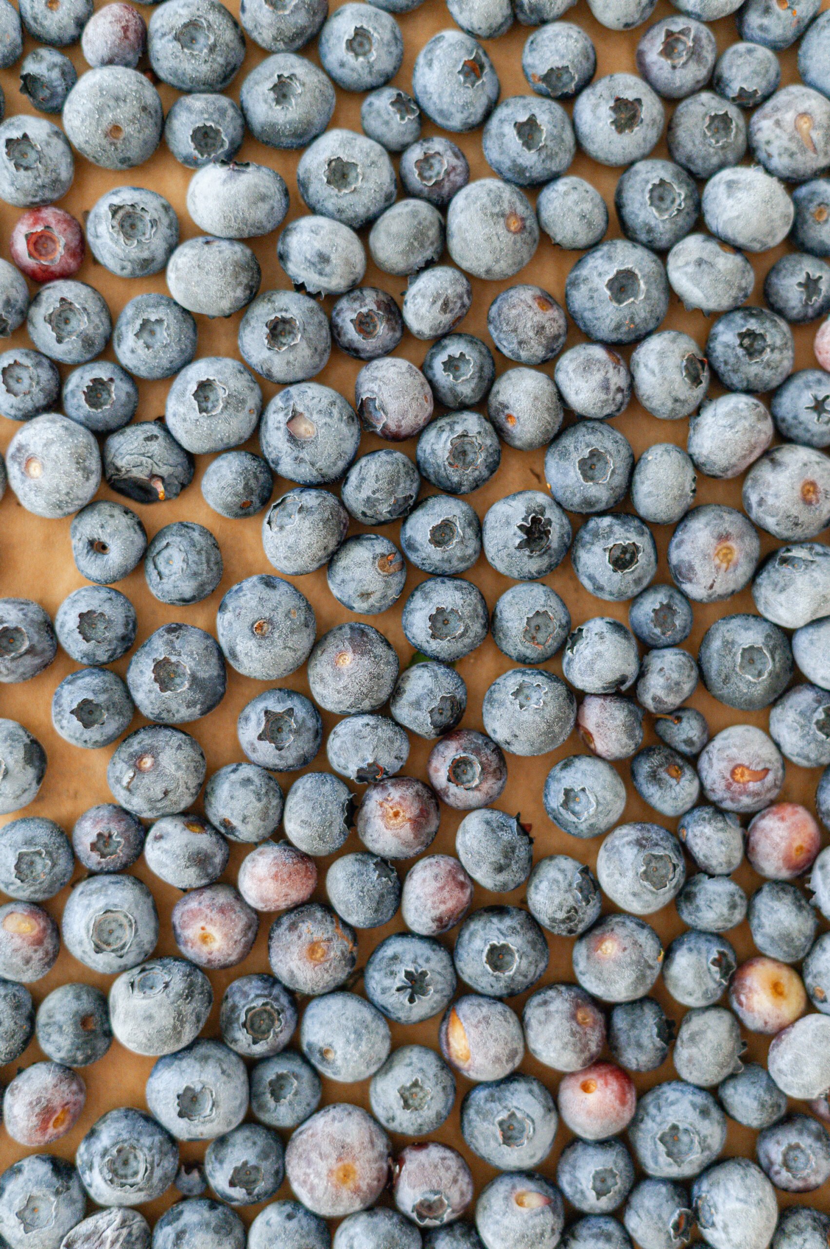 A close-up view of many fresh blueberries spread out in a single layer, covering the surface. The berries vary slightly in color from deep blue to purple.