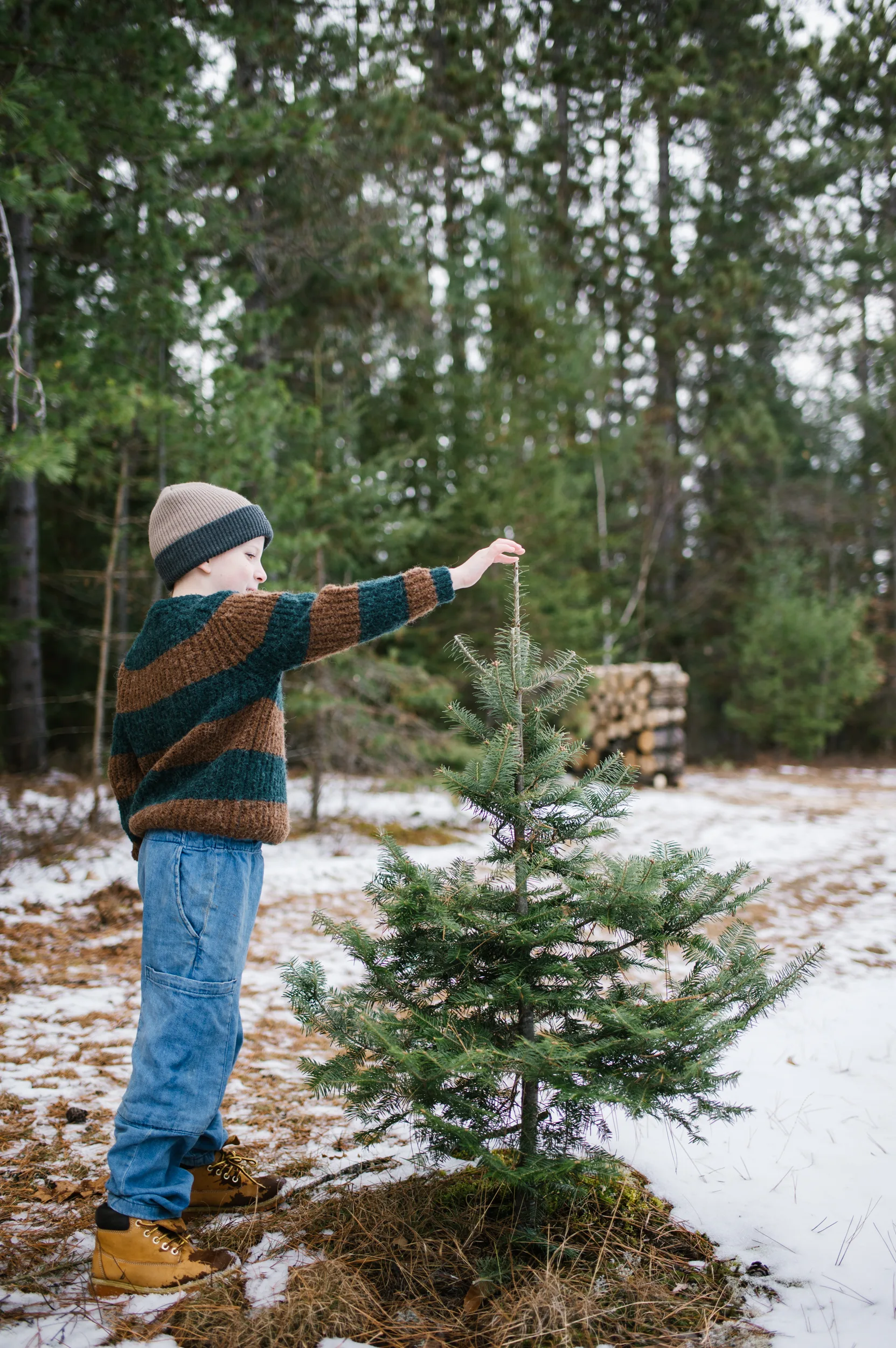 A young child in a striped sweater, jeans, boots, and a knit hat stands outdoors on snowy ground, reaching to touch the top of a small evergreen tree with a forest in the background.