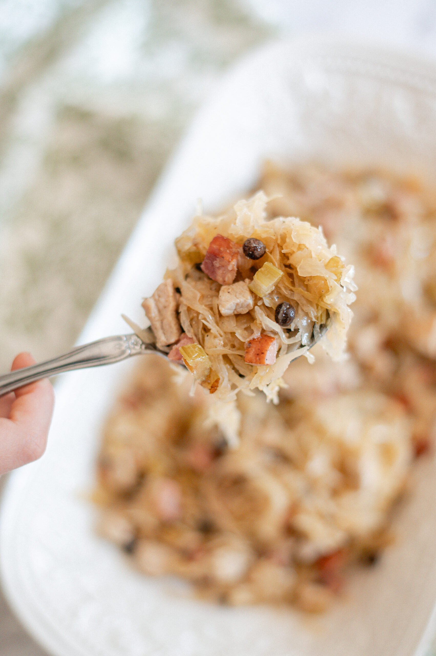 A close-up of a fork holding a portion of sauerkraut mixed with chunks of meat, bacon, and vegetables, with a white dish of the same food blurred in the background.