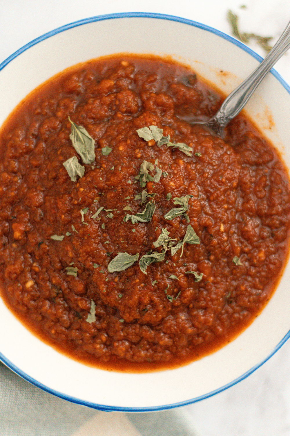 A bowl of thick, chunky tomato sauce garnished with dried herbs, with a spoon resting inside.