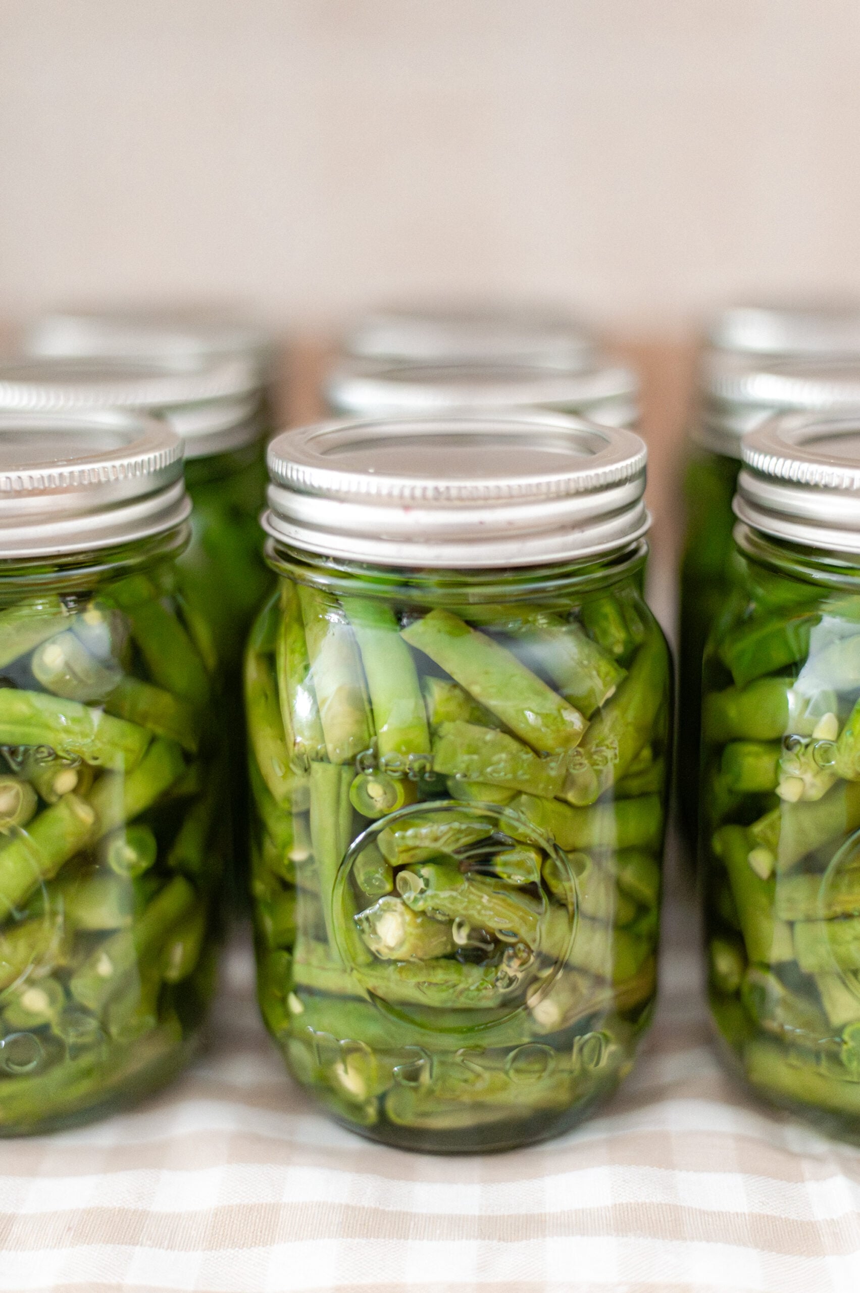 Several glass jars filled with pickled green beans are arranged in rows on a checkered cloth. The jars, sealed with metal lids, showcase the results of learning how to can green beans in a pressure canner.